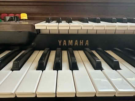 Photo of free Working keyboard organ (Wakefield) #2