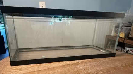 Photo of free 30 gallon terrarium (Columbia) #3