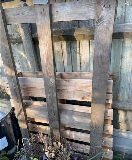 Photo of free 3 x Wooden pallets (Strood, ME2) #2
