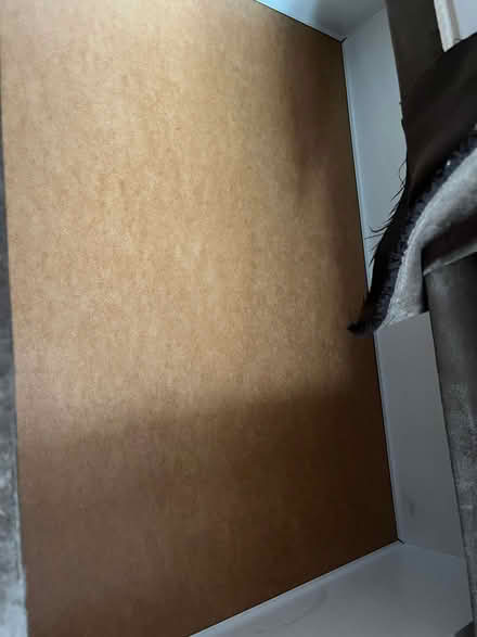 Photo of free Single Bed (Wood Green N22) #3