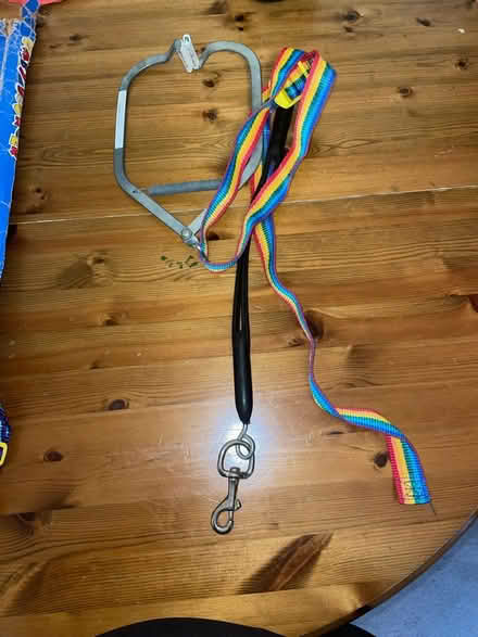 Photo of free Baby door bouncer (Chiswick) #3