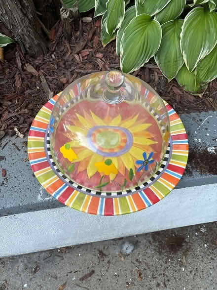 Photo of free Cake plate with cover (Throggs Neck (Bronx)) #1