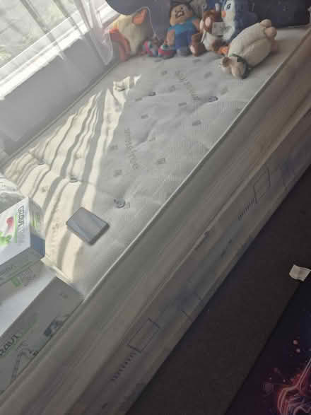 Photo of free Single bed & Mattress (Broxbourne (EN10)) #1