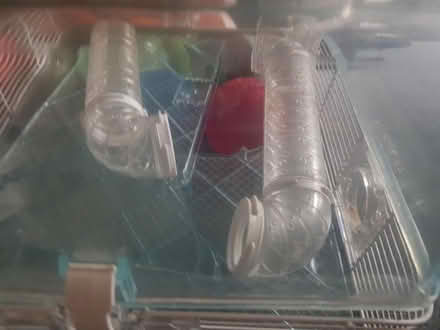Photo of free Hamster cage (Edgeley) #2