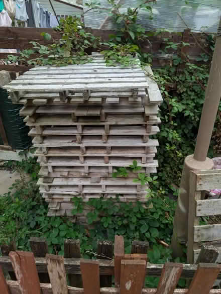 Photo of free Pallets (Great Horton BD5) #1
