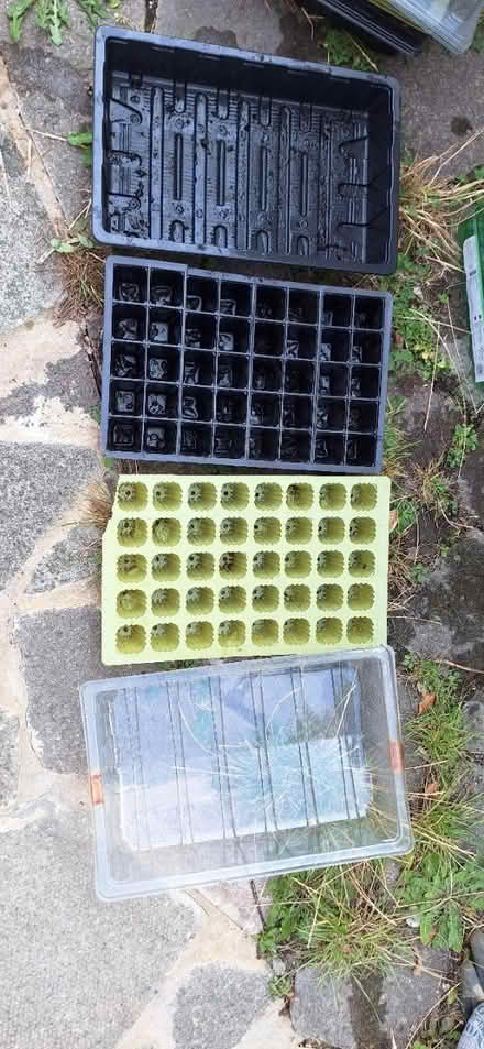 Photo of free Propagation trays (Lower Sydenham) #1