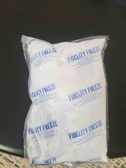 Photo of free Large ice pack (Capitol Hill 20003) #1