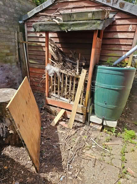 Photo of free Wood for bonfire night (Lingwood NR13) #1