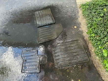 Photo of free Ford Flex floor mats (Wattles and Squirrel) #1