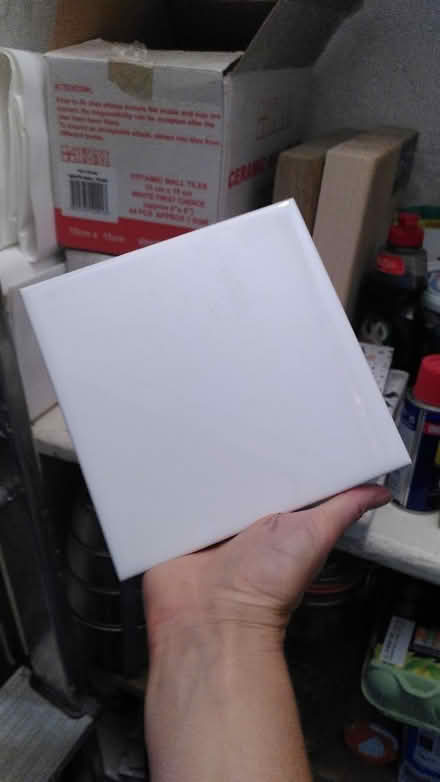 Photo of free White tiles (EH9 Marchmont) #1