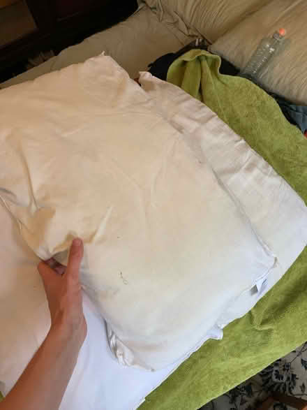 Photo of free Five used pilllows (Hackney central) #1