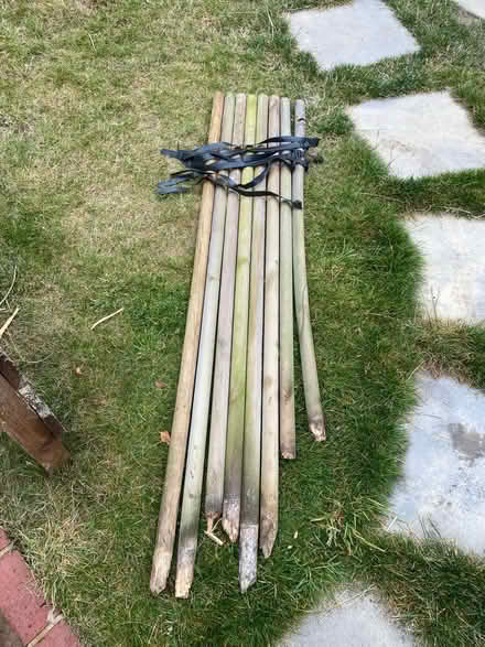 Photo of free Tree stakes and straps (Linslade LU7) #1