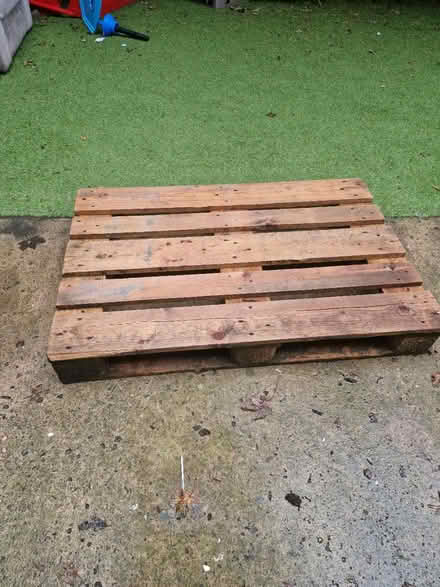 Photo of free Pallet (Birmingham, B9) #1
