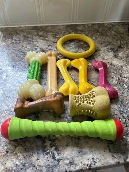 Photo of free Chewy dog toys (Hastings. Broom grove TN34) #1