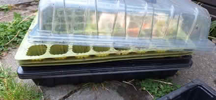 Photo of free Propagation trays (Lower Sydenham) #3