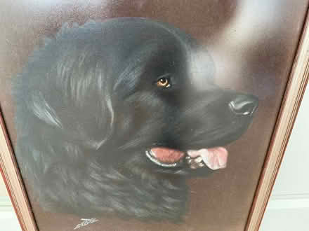 Photo of free Painting of Newfoundland dog (Mudeford BH23) #4