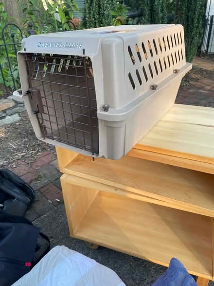 Photo of free Medium size Cat carrier (Ashton Heights, Arlington) #1