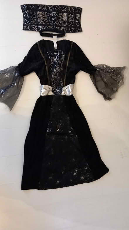 Photo of free Hallowe'en dress costume (Woodford E18) #1