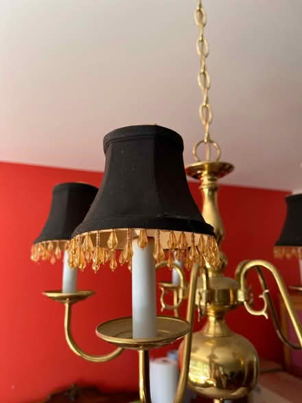 Photo of free Chandelier bulb covers (Chevy Chase MD) #2