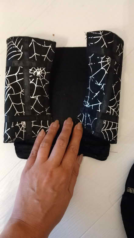Photo of free Hallowe'en dress costume (Woodford E18) #3