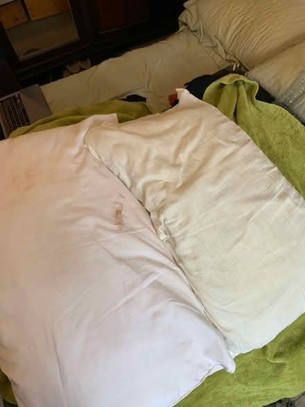 Photo of free Five used pilllows (Hackney central) #2