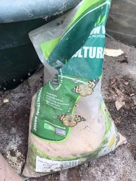 Photo of free Garden items (Trowbridge BA14) #3