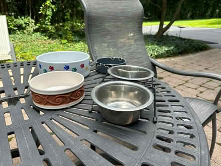 Photo of free Assorted pet bowls (Wattles and Squirrel) #2
