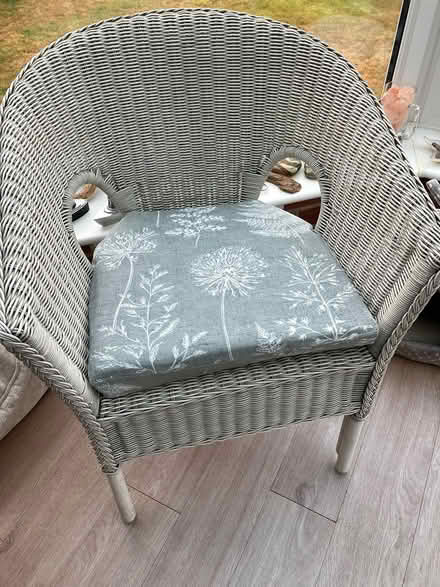Photo of free Chair cushions (Cockwood) #1