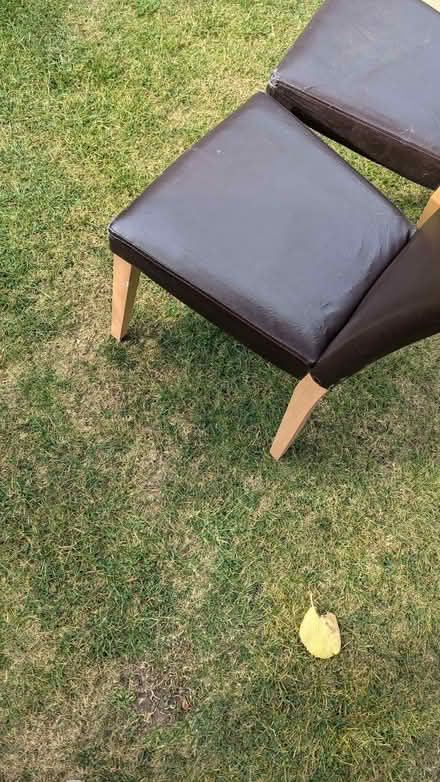 Photo of free Dinning chairs (Theydon Bois CM16) #4