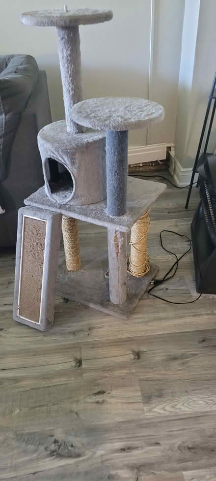 Photo of free Cat Tree (King st east kitchener) #1