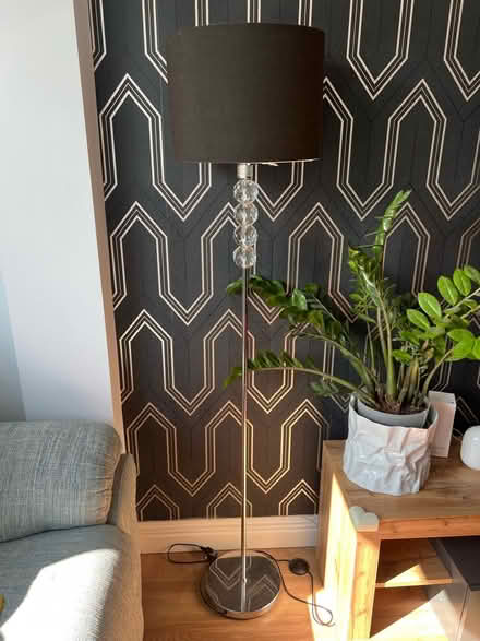 Photo of free Free standing floor lamp (New Malden KT3) #1