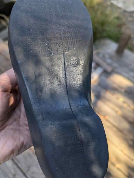 Photo of free Garden Clogs (Champlain Park) #2
