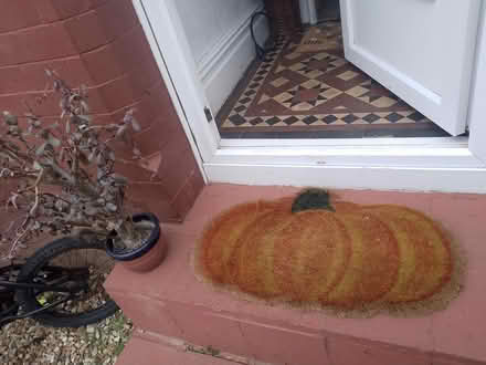 Photo of free Plant and coir mat (Wallasey) #1