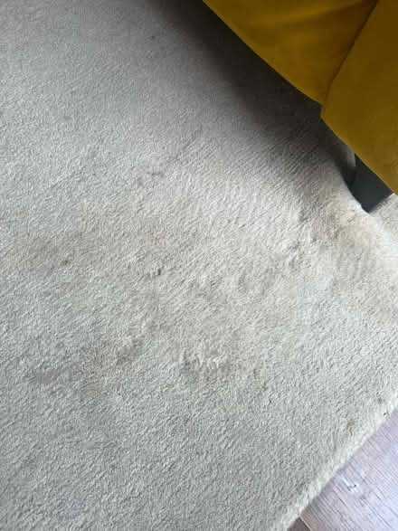 Photo of free Rug (L7) #4