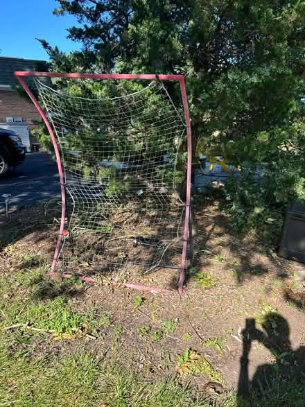 Photo of free Rebounder (North Barrington) #1