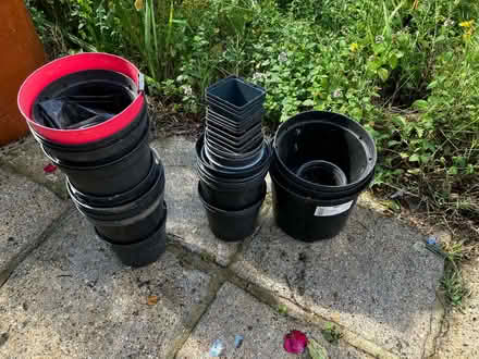Photo of free Plant pots (Hailsham BN27) #2