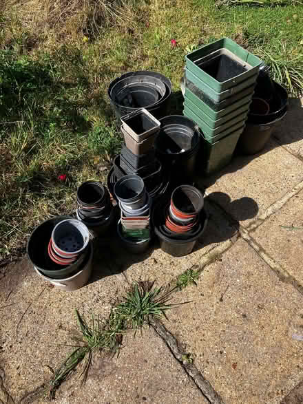 Photo of free Plant pots (Hailsham BN27) #1