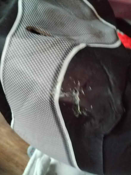 Photo of free Child car seat (WV14) #2