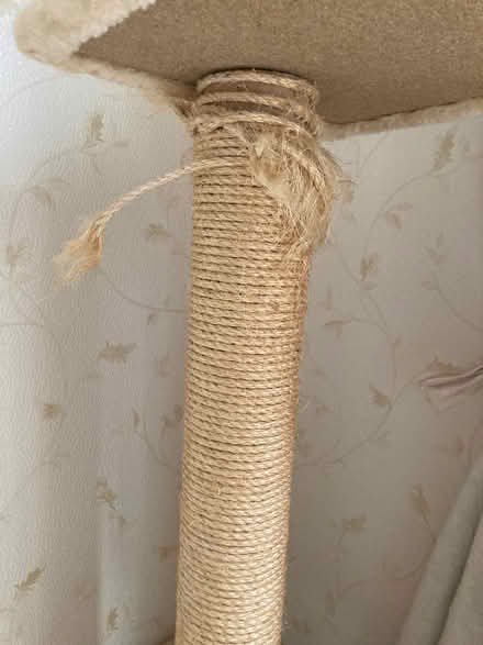 Photo of free Cat tree (Goldington MK41) #2