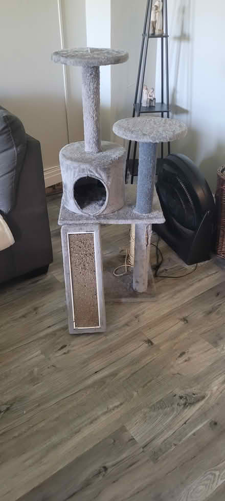 Photo of free Cat Tree (King st east kitchener) #2