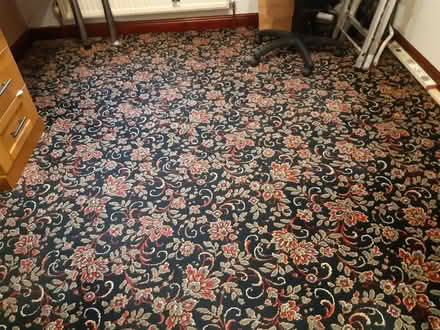 Photo of free Carpet (SK13 1EJ) #2