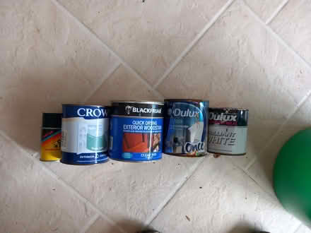 Photo of free Paint (Glanmule SY16) #1