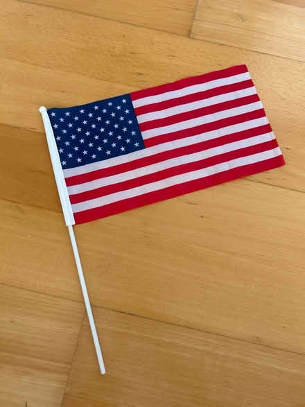 Photo of free US Handheld Flag (SW17 Tooting Bec) #1