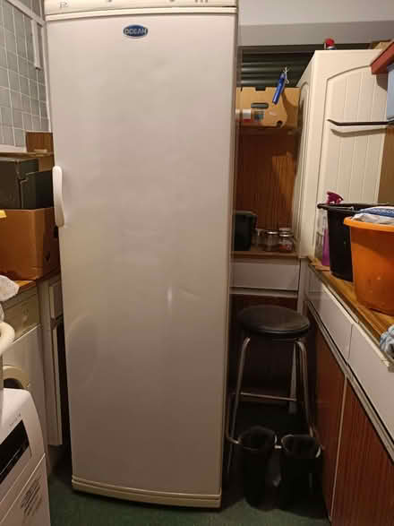 Photo of free Upright Freezer (Milton Ernest MK44) #3