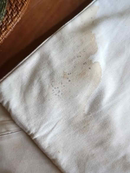 Photo of free 2 x identical stripped cushions 45cm x 45cm (Nether Edge S7) #3