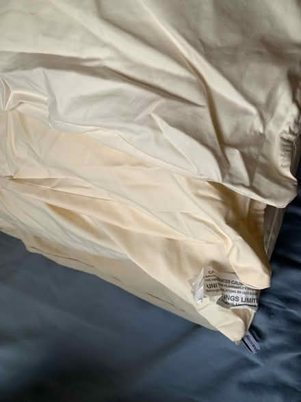 Photo of free 65cmx65cm Cushions (North Finchley N12) #2