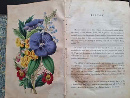 Photo of free Box of random booklets and broken antique books (Chelmsford CM1) #4