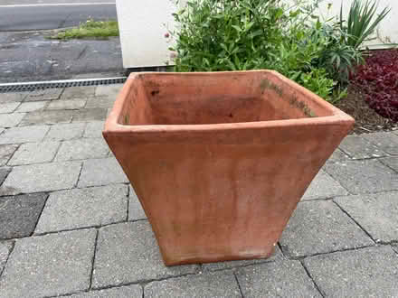 Photo of free Terracotta Plant/Shrub Pot (Lee-on-the-Solent PO13) #1