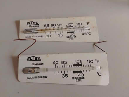 Photo of free Western Curfew Egg incubator (Didsbury M20) #3