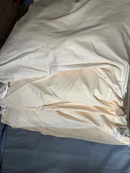 Photo of free 65cmx65cm Cushions (North Finchley N12) #1